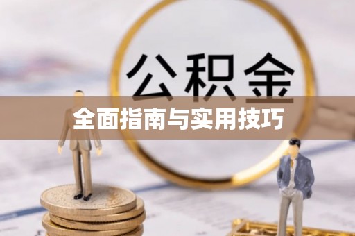 白山全面指南与实用技巧