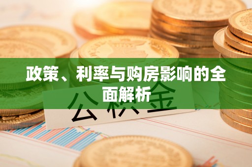 白山政策、利率与购房影响的全面解析