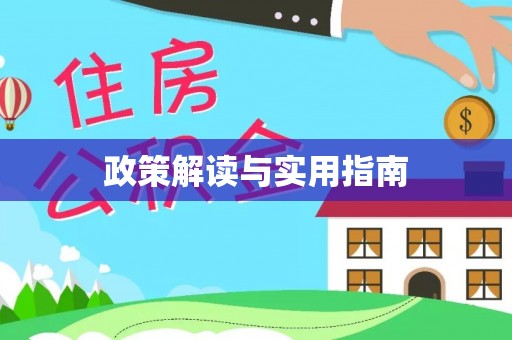 白山政策解读与实用指南