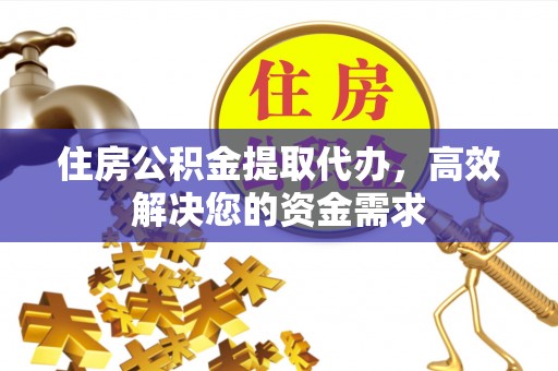 白山住房公积金提取代办，高效解决您的资金需求
