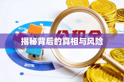 白山揭秘背后的真相与风险