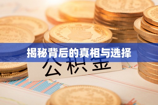白山揭秘背后的真相与选择