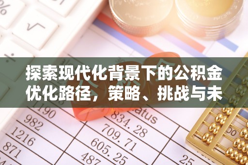 白山探索现代化背景下的公积金优化路径，策略、挑战与未来展望