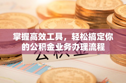 白山掌握高效工具，轻松搞定你的公积金业务办理流程