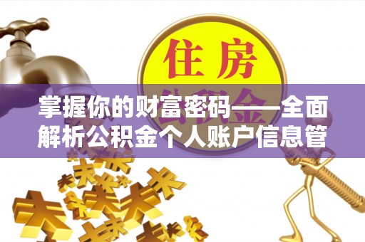白山掌握你的财富密码——全面解析公积金个人账户信息管理与优化