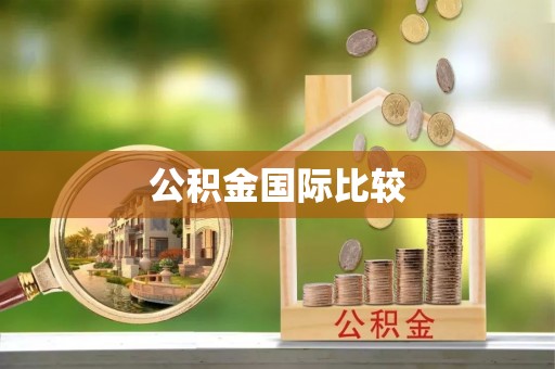 白山公积金国际比较