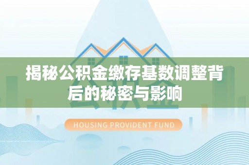 白山揭秘公积金缴存基数调整背后的秘密与影响