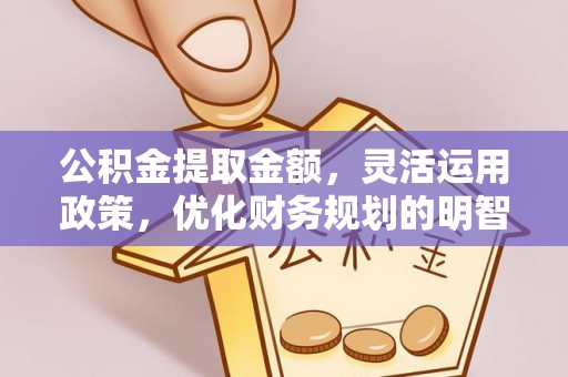 白山公积金提取金额，灵活运用政策，优化财务规划的明智选择