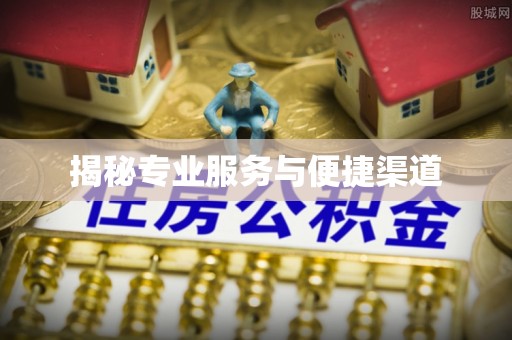 白山揭秘专业服务与便捷渠道