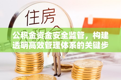 白山公积金资金安全监管，构建透明高效管理体系的关键步骤