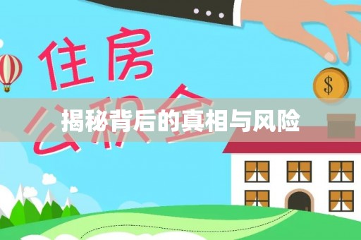 白山揭秘背后的真相与风险