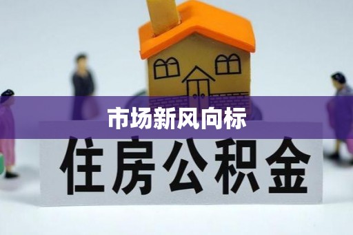 白山市场新风向标