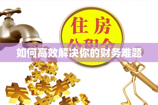 白山如何高效解决你的财务难题