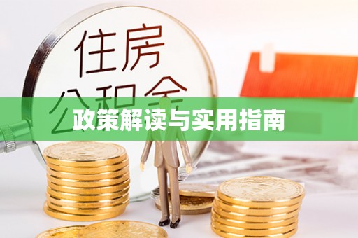 白山政策解读与实用指南