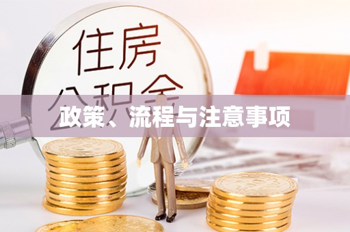 白山政策、流程与注意事项