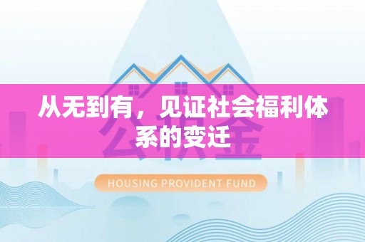 白山从无到有，见证社会福利体系的变迁