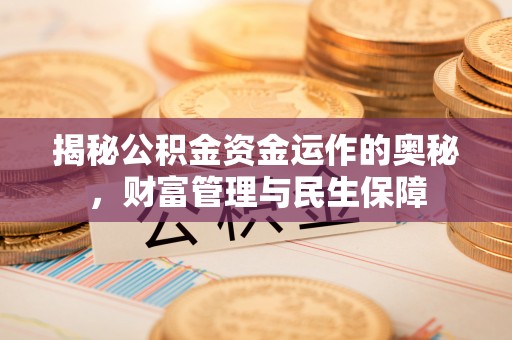 白山揭秘公积金资金运作的奥秘，财富管理与民生保障