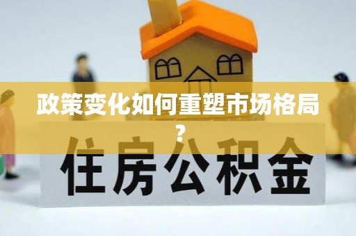 白山政策变化如何重塑市场格局？