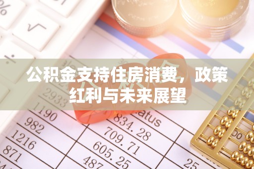 白山公积金支持住房消费，政策红利与未来展望