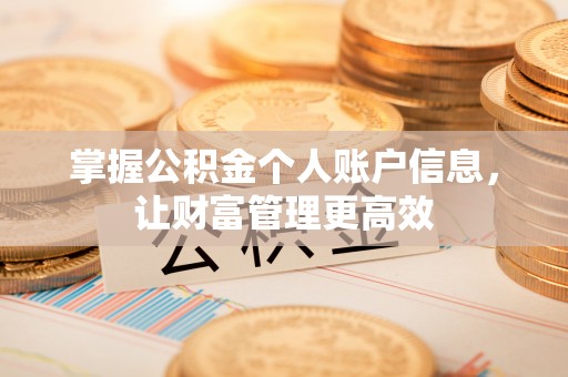 白山掌握公积金个人账户信息，让财富管理更高效