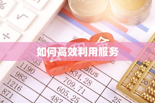 白山如何高效利用服务