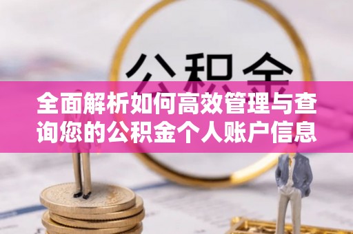 白山全面解析如何高效管理与查询您的公积金个人账户信息