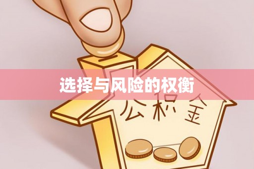 白山选择与风险的权衡