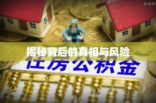白山揭秘背后的真相与风险