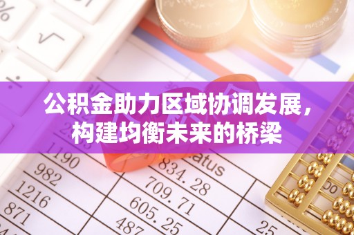 白山公积金助力区域协调发展，构建均衡未来的桥梁