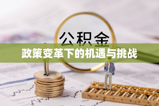 白山政策变革下的机遇与挑战
