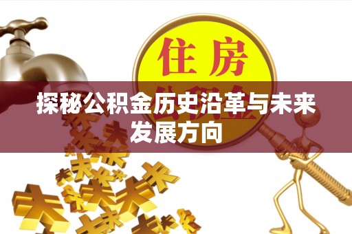 白山探秘公积金历史沿革与未来发展方向