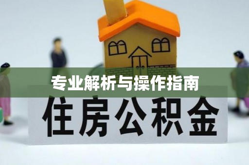 白山专业解析与操作指南