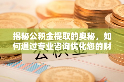 白山揭秘公积金提取的奥秘，如何通过专业咨询优化您的财务规划