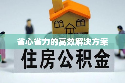 白山省心省力的高效解决方案