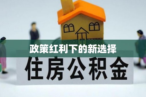白山政策红利下的新选择