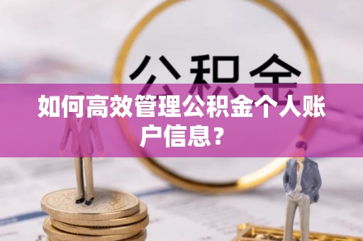 白山如何高效管理公积金个人账户信息？