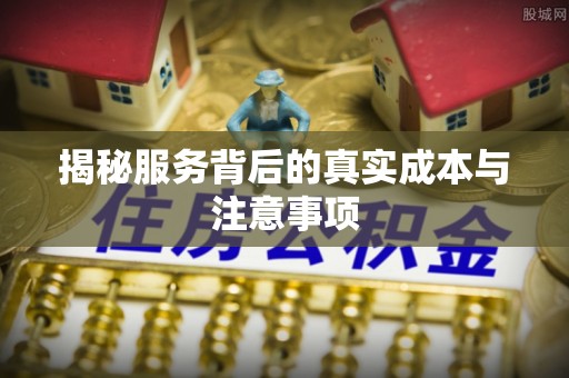 白山揭秘服务背后的真实成本与注意事项