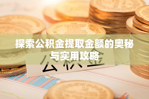白山探索公积金提取金额的奥秘与实用攻略