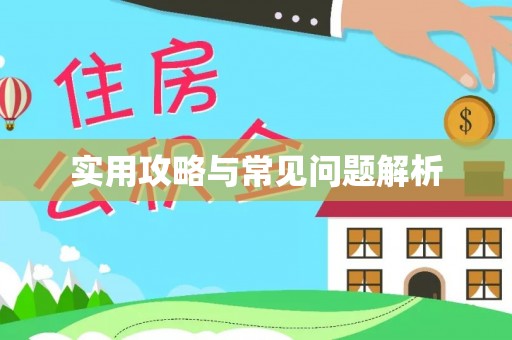 白山实用攻略与常见问题解析