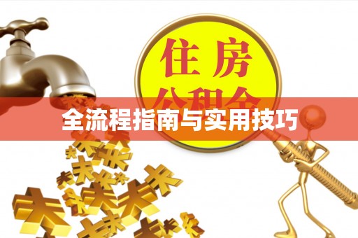 白山全流程指南与实用技巧