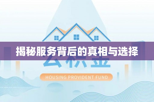 白山揭秘服务背后的真相与选择