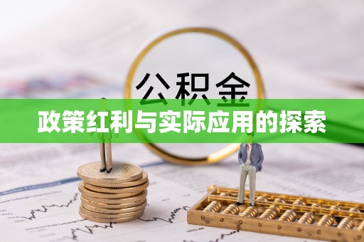 白山政策红利与实际应用的探索