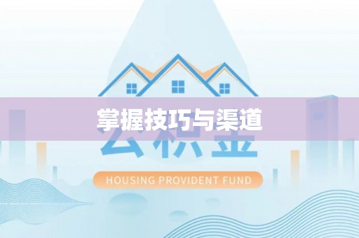 白山掌握技巧与渠道