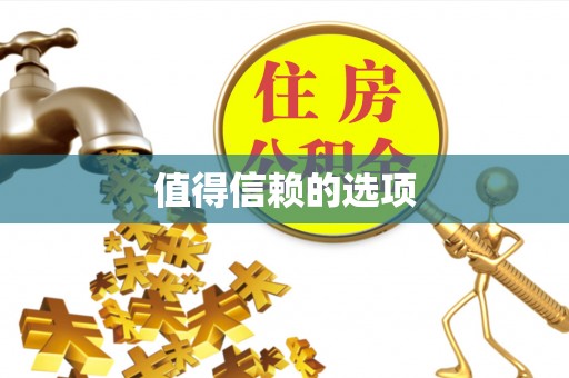 白山值得信赖的选项