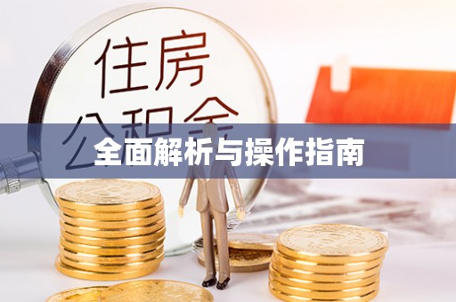 白山全面解析与操作指南
