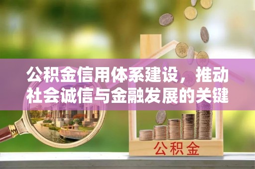 白山公积金信用体系建设，推动社会诚信与金融发展的关键桥梁