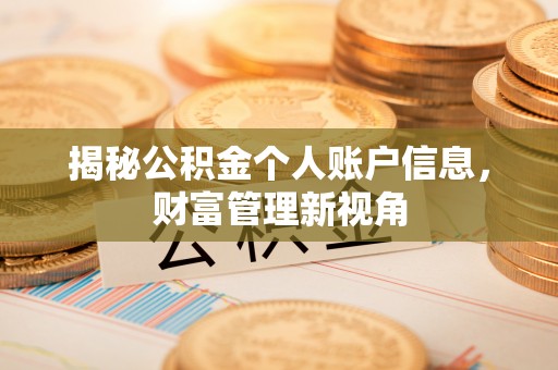 白山揭秘公积金个人账户信息，财富管理新视角