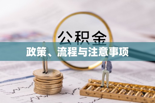 白山政策、流程与注意事项