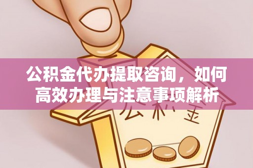 白山公积金代办提取咨询，如何高效办理与注意事项解析