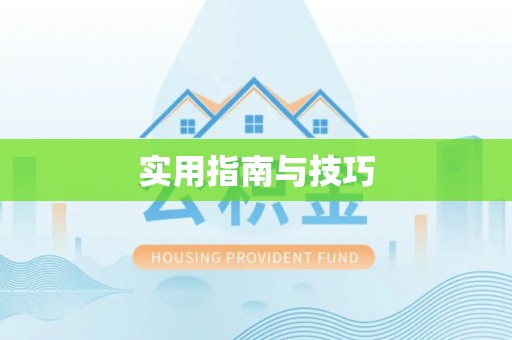 白山实用指南与技巧